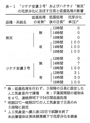 ツケナ安濃3号およびハクサイ無双の花芽分化に及ぼす日長と低温処理の影響