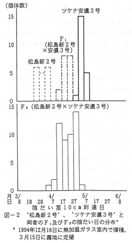 松島新2号、ツケナ安濃3号と両者のF1及びF2の抽だい日の分布