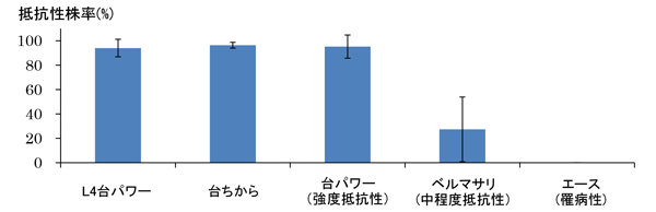 青枯病抵抗性幼苗検定における抵抗性株率