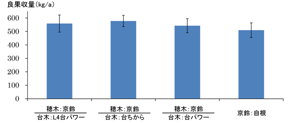 「京鈴」を穂木とした接ぎ木栽培における台木用品種と良果収量