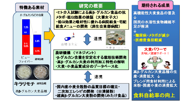 グルカン 食品 β