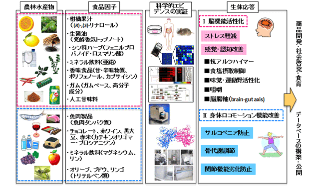 B1図