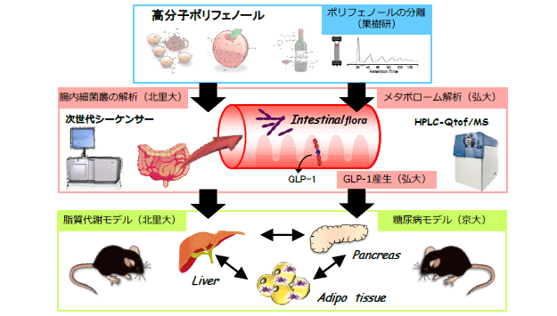 B2図