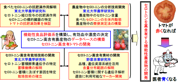 B4図