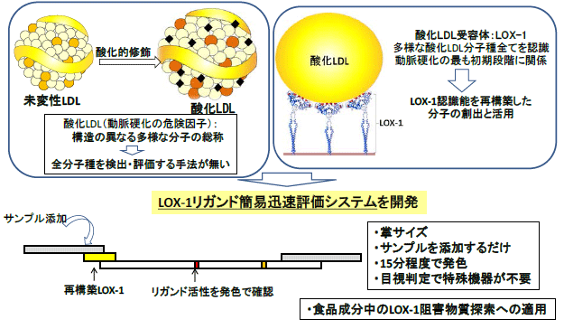 B5図