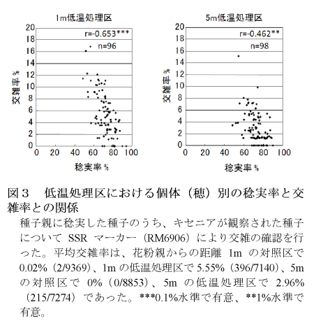 図3 低温処理区における個体(穂)別の稔実率と交雑率との関係