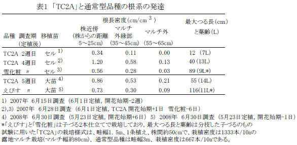 表1 「 TC2A 」と通常型品種の根系の発達