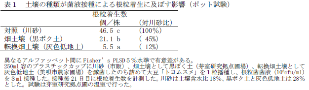 表1 土壌の種類が菌液接種による根粒着生に及ぼす影響(ポット試験)