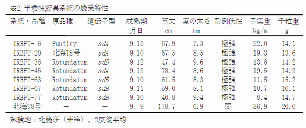 表2 半矮性変異系統の農業特性