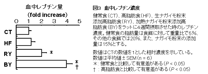 図3 血中レプチン濃度