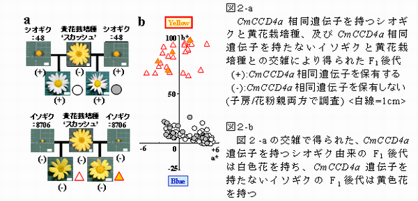 図2