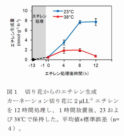 図1 切り花からのエチレン生成