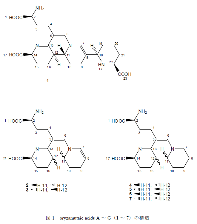 図1 oryzamutaic acids A～G(1～7)の構造