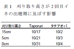 表1 刈り取り高さが2回目イネの出穂期に及ぼす影響