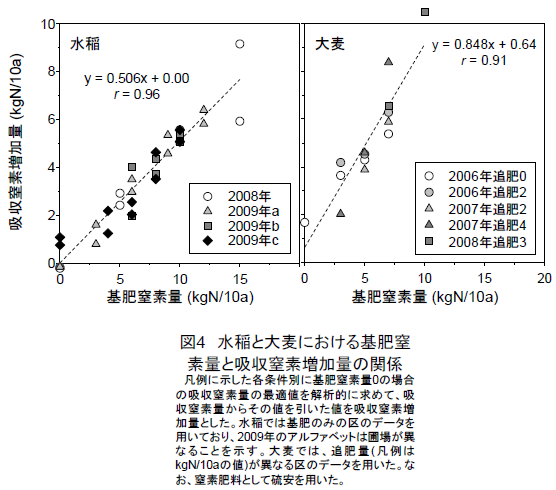 図4 水稲と大麦における基肥窒素量と吸収窒素増加量の関係