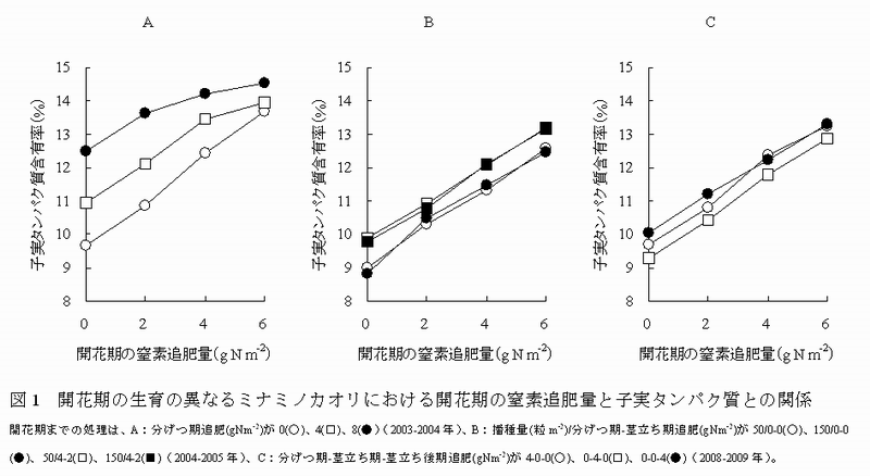 図1 開花期の生育の異なるミナミノカオリにおける開花期の窒素追肥量と子実タンパク質との関係
