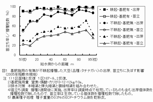 図1 基肥施用の有無が不耕起播種した大豆