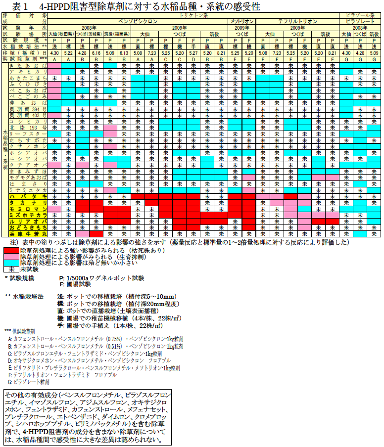 表1  4-HPPD 阻害型除草剤に対する水稲品種・系統の感受性