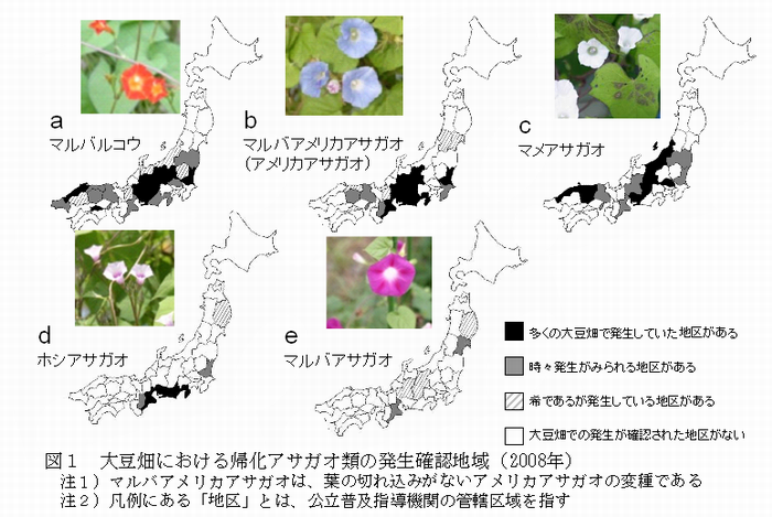図1</a>大豆畑における帰化アサガオ類の発生確認地域