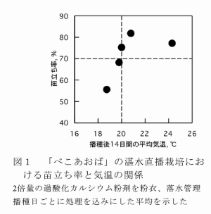 図1 「べこあおば」の湛水直播栽培における苗立ち率と気温の関係