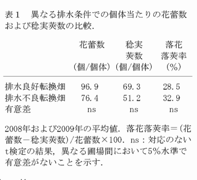 表1 異なる排水条件での個体当たりの花蕾数および稔実莢数の比較.