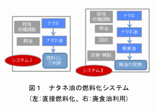 図1 ナタネ油の燃料化システム