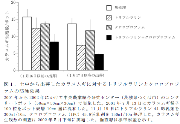 図1 土中から出芽したカラスムギに対するトリフルラリンとクロロプロファムの防除効果