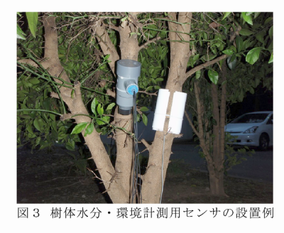 図3 樹体水分・環境計測用センサの設置例