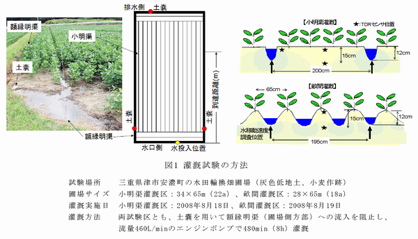 図1 灌漑試験の方法