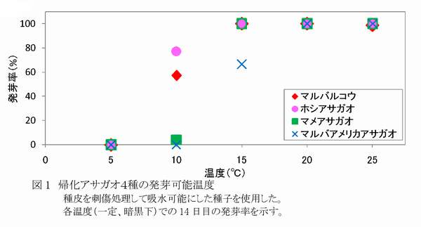 図1 帰化アサガオ4種の発芽可能温度