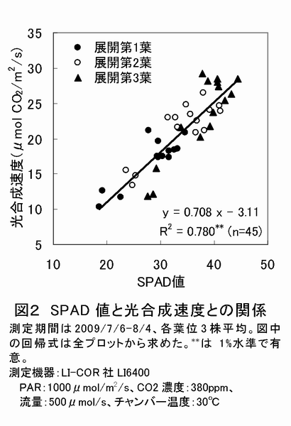 図2 SPAD 値と光合成速度との関係