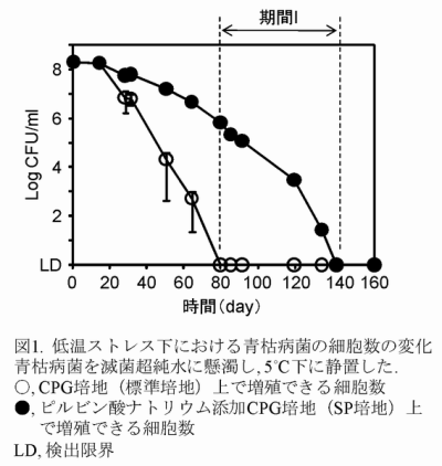 図1 低温ストレス下における青枯病菌の細胞数の変化