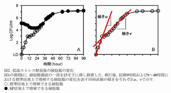 図2 低温ストレス解放後の細胞数の変化