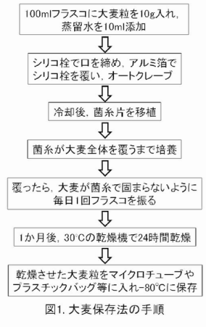 図1 大麦保存法の手順