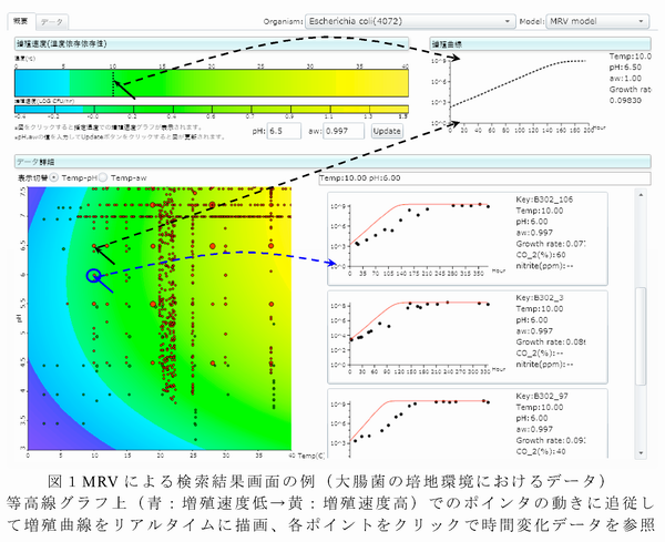 図1 MRVによる検索結果画面の例(大腸菌の培地環境におけるデータ)