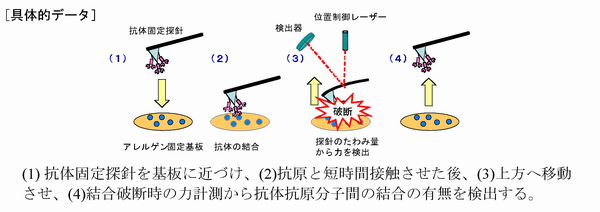 図1