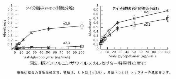 図2 豚インフルエンザウイルスのレセプターの特異性の変化