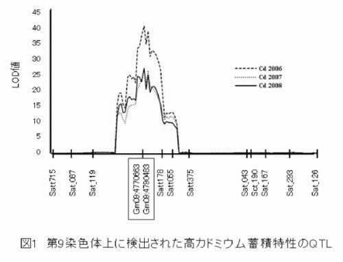 図1 第9染色体上に検出された高カドミウム蓄積特性のQTL