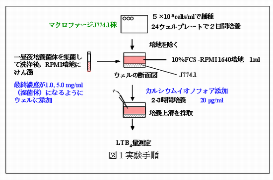 図1 実験手順