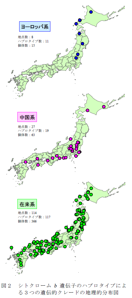 図2 シトクローム b 遺伝子のハプロタイプによる3つの遺伝的クレードの地理的分布図