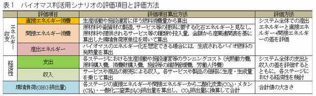 表1 バイオマス利活用シナリオの評価項目と評価方法