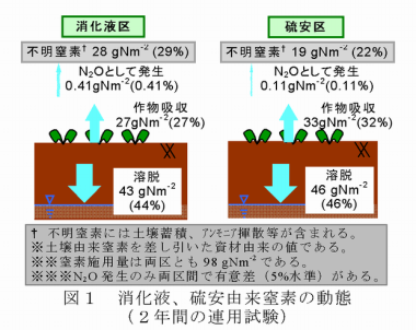 図1 消化液、硫安由来窒素の動態