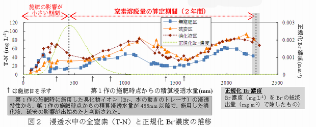 図2 浸透水中の全窒素( T-N )と正規化 Br - 濃度の推移