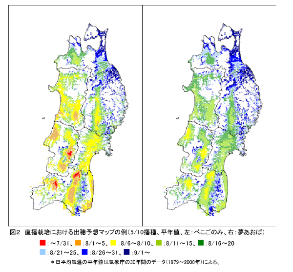 図2 直播栽培における出穂予想マップの例