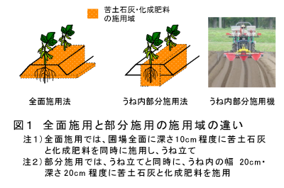 図1 全面施用と部分施用の施用域の違い