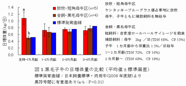 図1 黒毛子牛の日増体量の比較