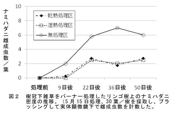 図2 樹冠下雑草をバーナー処理したリンゴ樹上のナミハダニ密度の推移