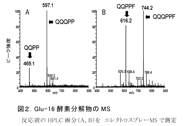図2 Glu-16 酵素分解物の MS