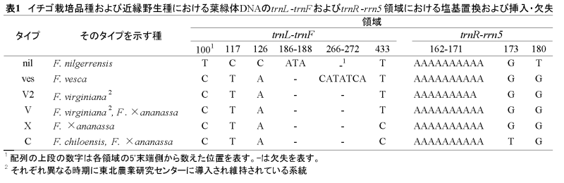 表1 イチゴ栽培品種および近縁野生種における葉緑体DNAのtrnL-trnFおよびtrnR-rrn5領域における塩基置換および挿入・欠失