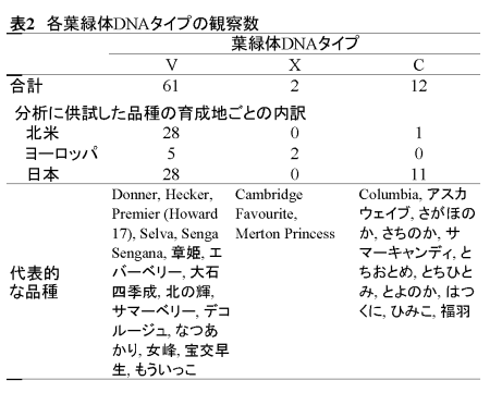 表2 各葉緑体DNAタイプの観察数